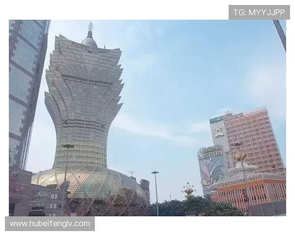 澳门彩app下载详细指南，帮助新手快速注册登录享受丰富游戏体验